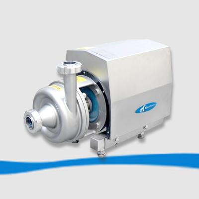 stainless steel pumps